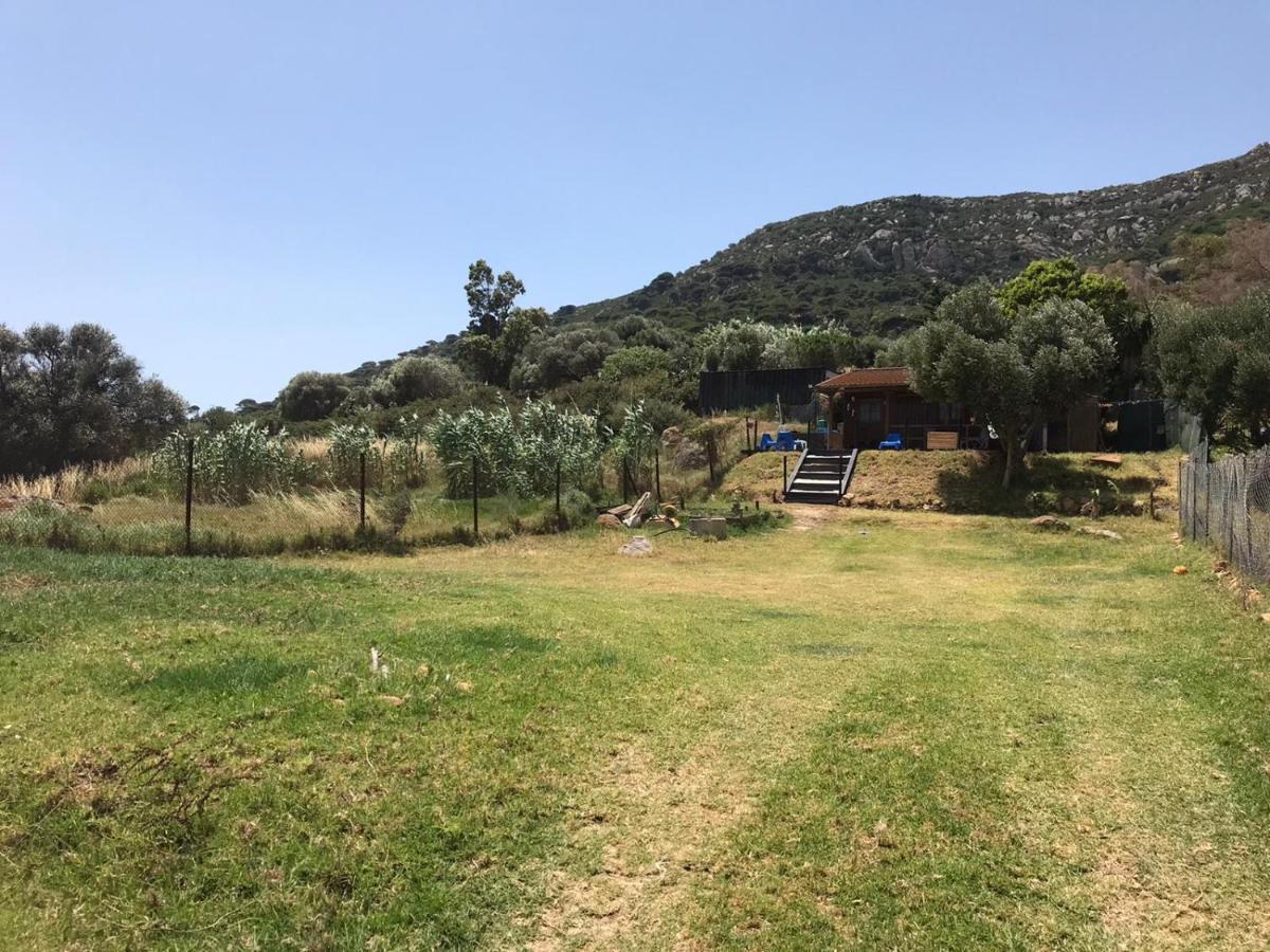 Rustic Cabin Tarifa 4 Guests 10 Minutes To Beach Exteriör bild
